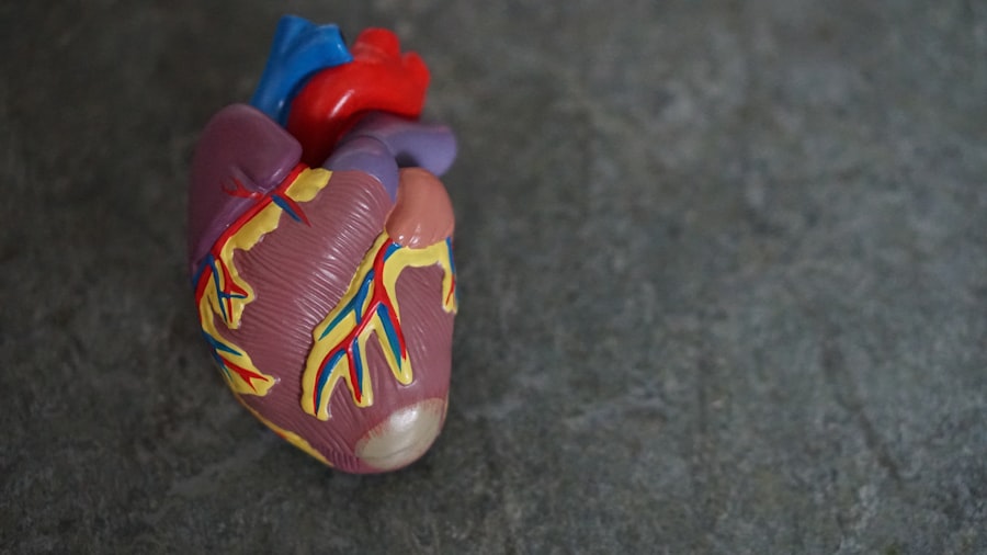 Heart Rate Variability