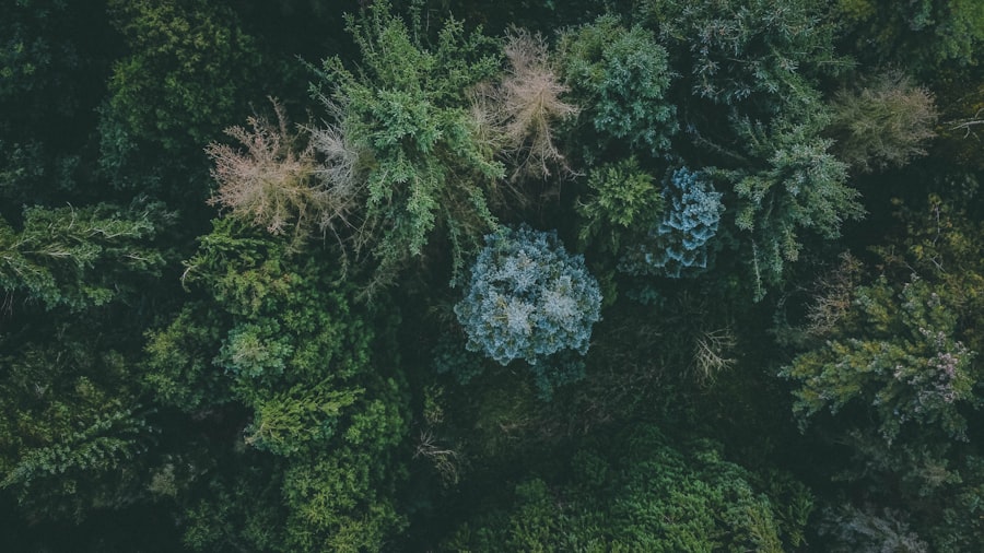 Photo Decentralized Workforce Ecosystems