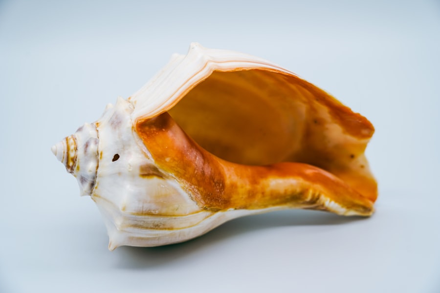 Bone Density