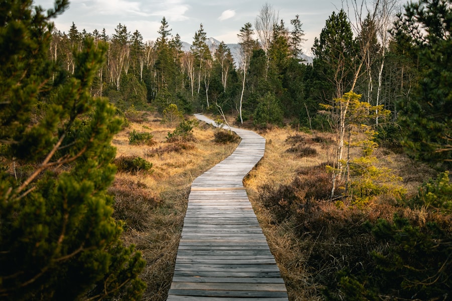 Photo Mindfulness
