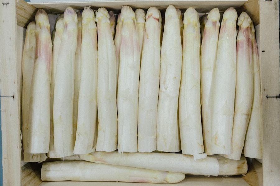 Photo Bone Density
