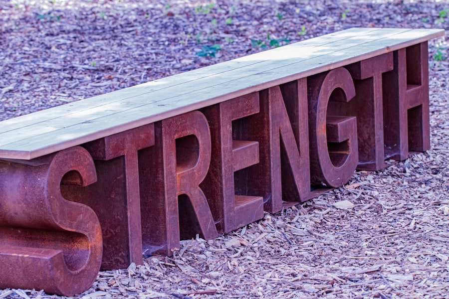 Photo Functional Strength Standards