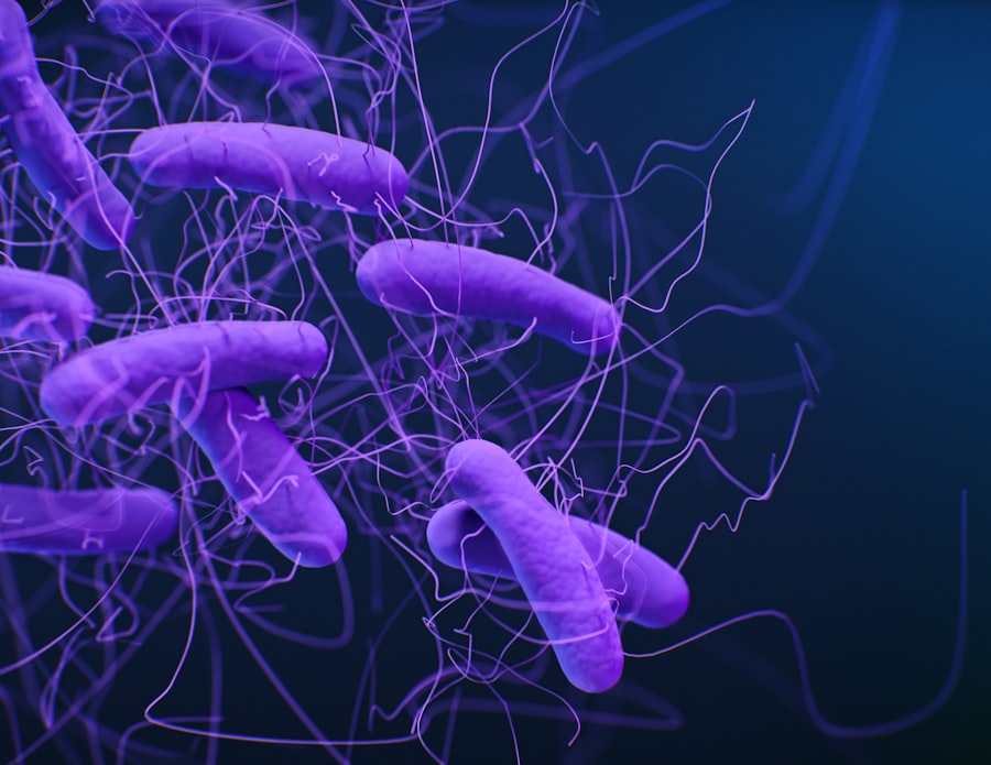 Photo Synthetic Biology