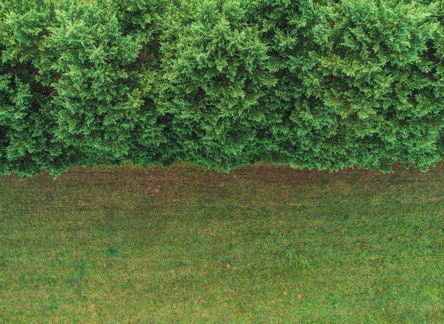 Boundaries