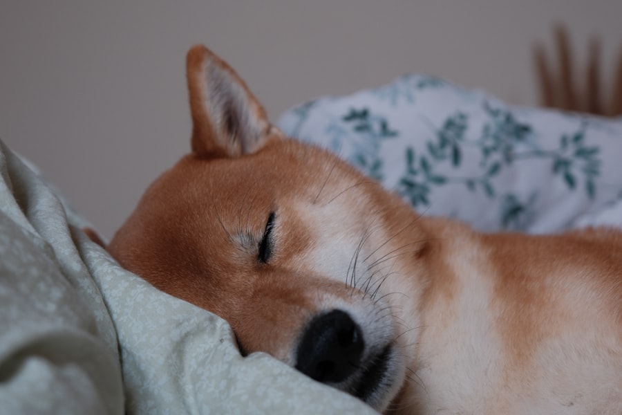 Sleep Hygiene