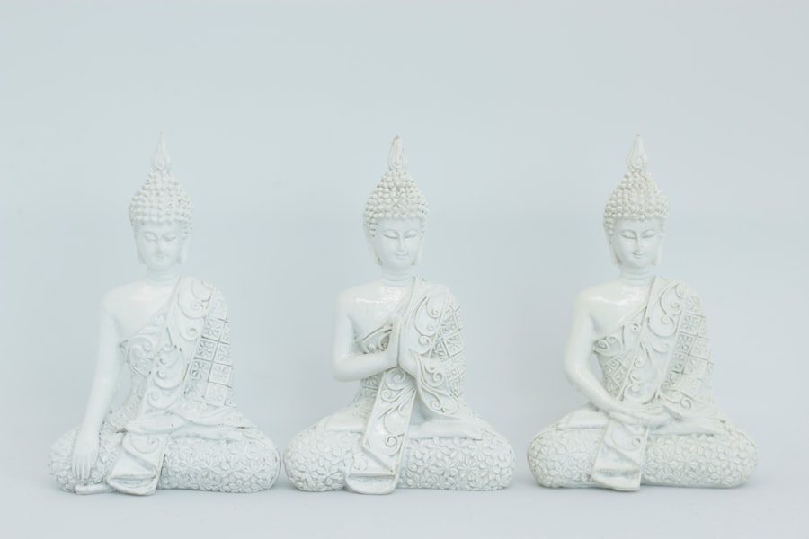 Photo Micro-Meditations