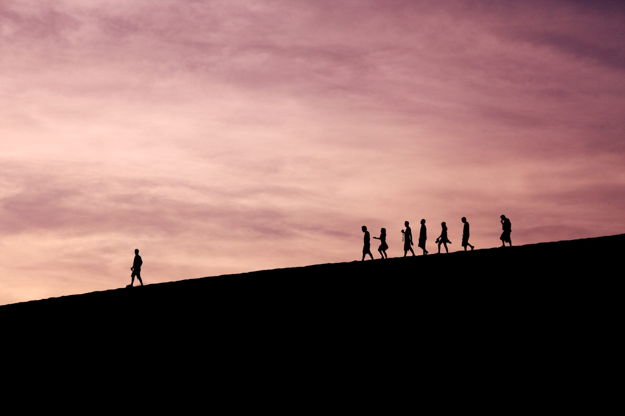 Executive and Leadership