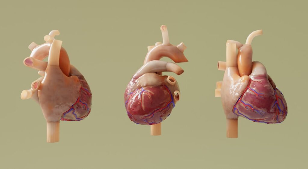 Photo Heart Rate Variability