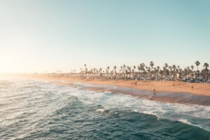 Photo Digital Detox Strategies