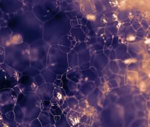 Photo Biotech and Digital Identity