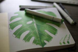 Photo Sustainable Branding Strategies