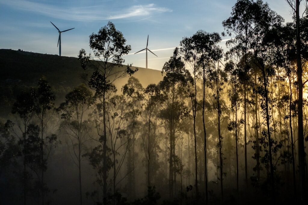 Photo Decoupling Growth from Carbon