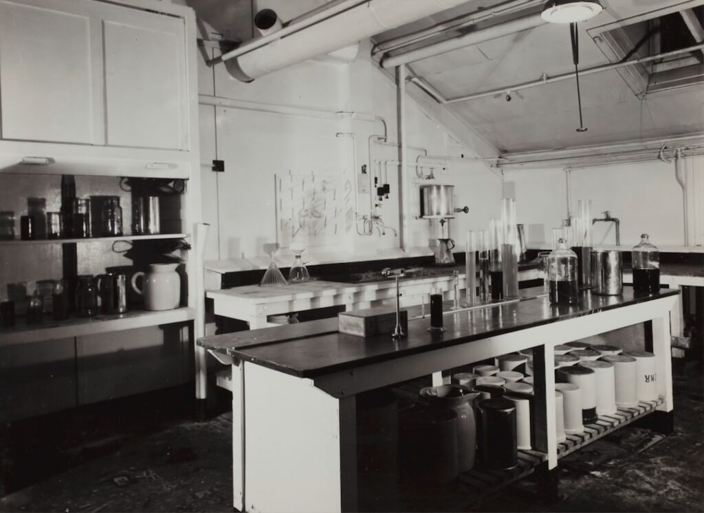 Photo Intelligence Lab
