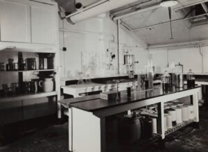 Photo Intelligence Lab