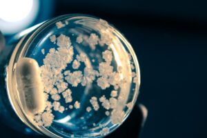 Photo Synthetic Biology