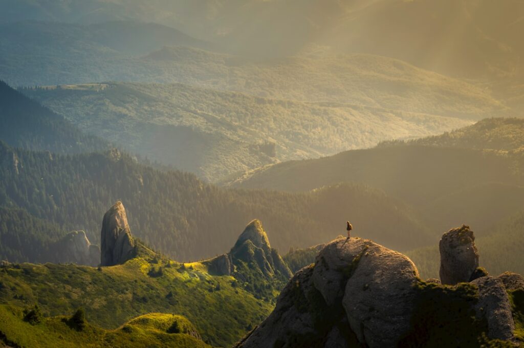 The Me Time Method: Cultivating Emotional Resilience through Intentional Solitude