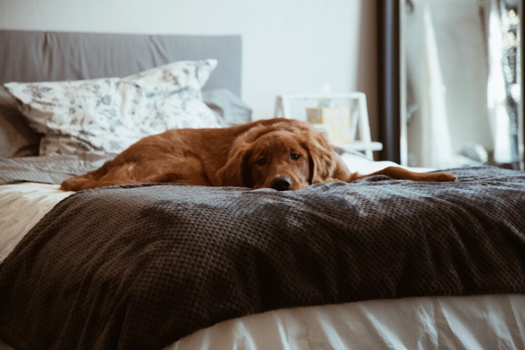Photo Intentional Rest