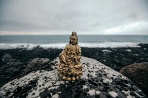 Photo Micro-Meditations